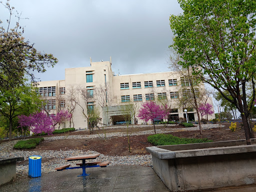 Walter W. Stiern Library