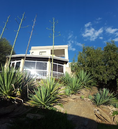 Photos of Villa Moringa Guesthouse