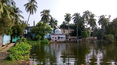 Photos of শরিফ নগর মসজিদ পুকুর