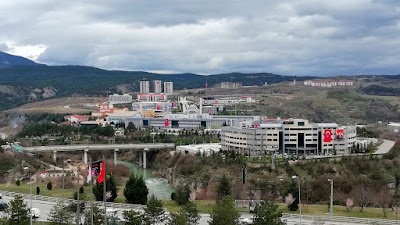 Karabük University