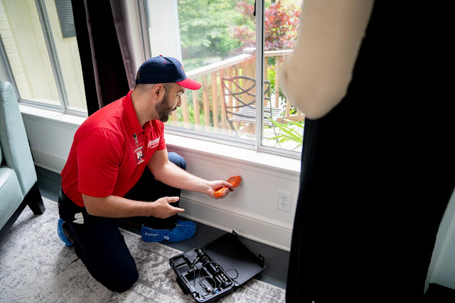 Rainbow International of Grosse Pointe