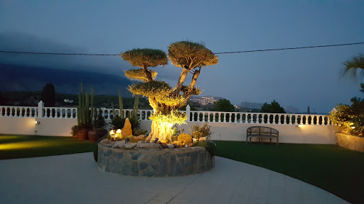 Restaurante Bonaire - Thumbnail