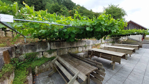 Baierweinmuseum - Visual