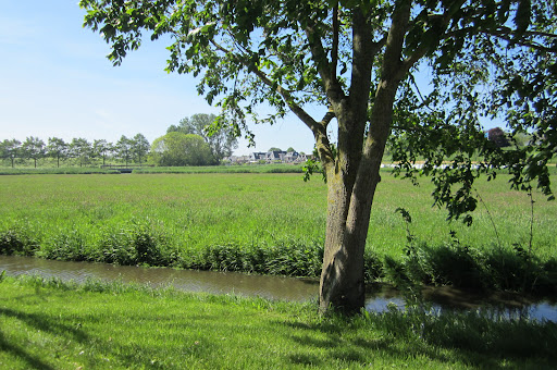 B&B Aan de Dijk Gallery - Netherlands