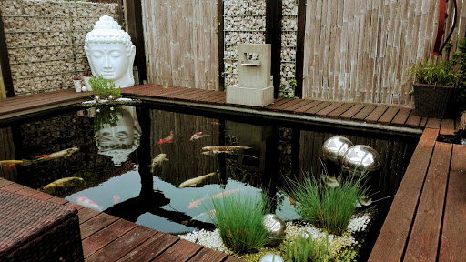 H+R Koi