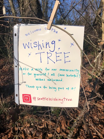 Seattle Wishing Tree