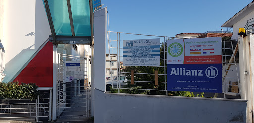 PACIFIC LANGUAGE INSTITUTE - Thumbnail