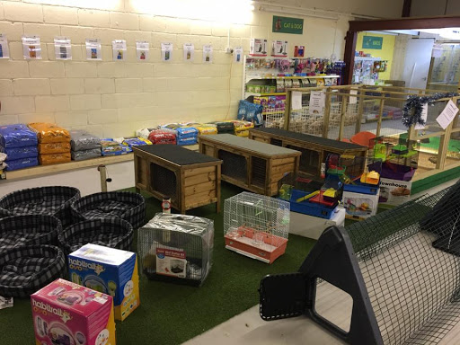Powys Pets - Visual