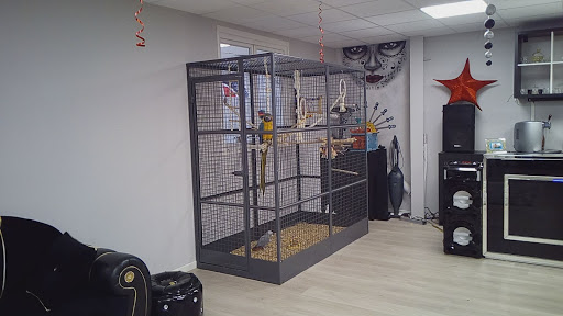 INK TATTOO Studio Gallery - France