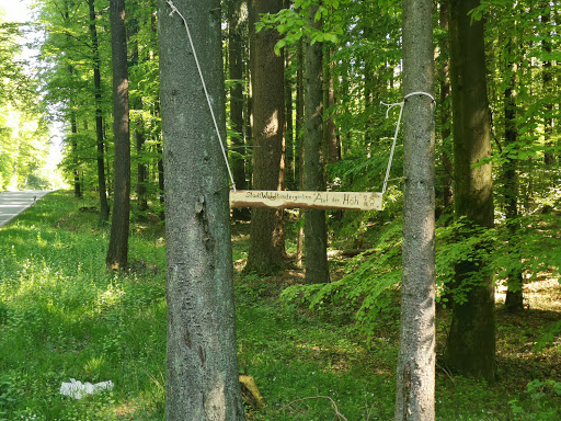 Waldkindergarten Auf der Höhe, WUG - Thumbnail