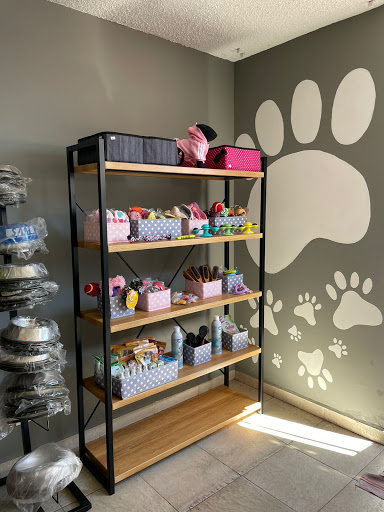 Integral Veterinary Clinic - Thumbnail