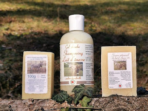 Photo n°3 de Asineri'ves à Pinay (Centre de randonnée équestre)