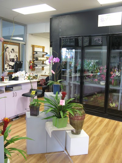 Fujikami Florist - Honolulu - Official Site