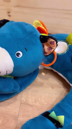 Photo n°2 de Késtadi à Cherbourg-en-Cotentin (Magasin de jeux d'occasion)