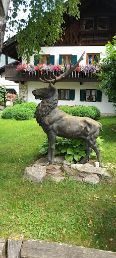 Der Hirsch-Am Föhrehof