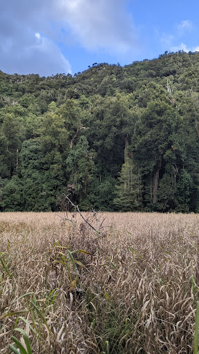 Burraga Swamp