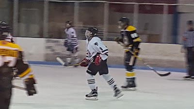 Photos of Glacier Pointe Ice Complex