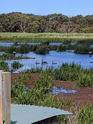 Baxters Wetland Bird Hide