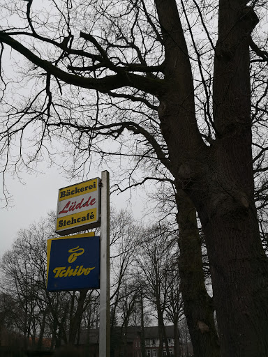 Lüdde J. - Thumbnail