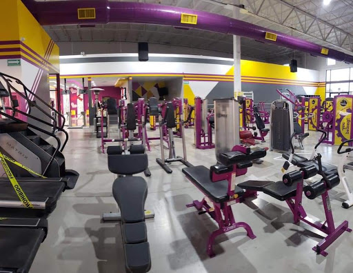 TRAINER GYM PLUS