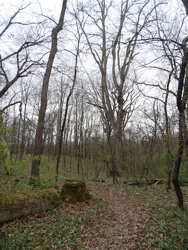 MOULIN TRAIL - Visual