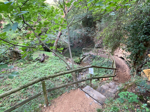 Peramola - Visual