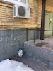 Фотография ТОО "Лучшее время", Молодёжный микрорайон, Астана, Казахстан