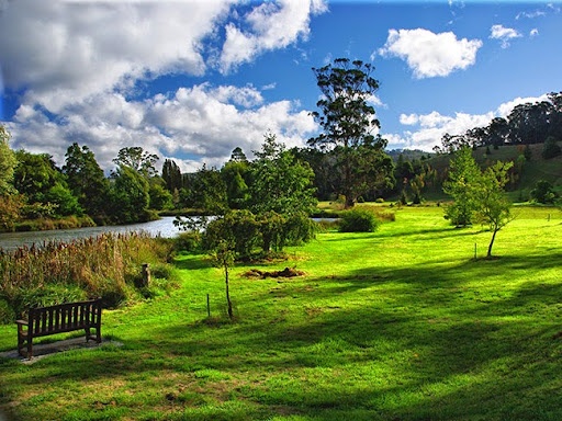 Tasmanian Arboretum - Thumbnail