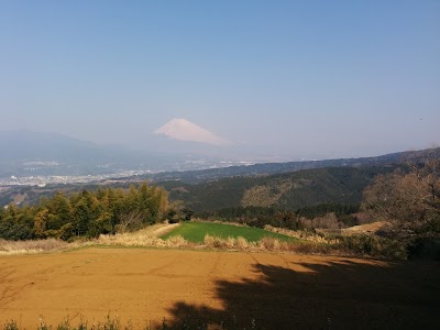 八百屋プラス809