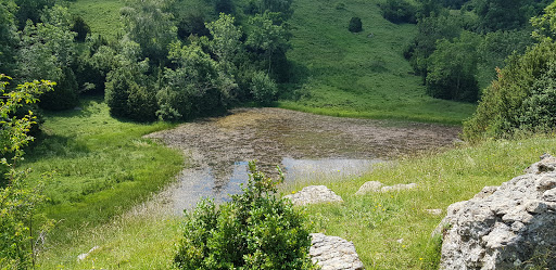 Estany d'en Roca