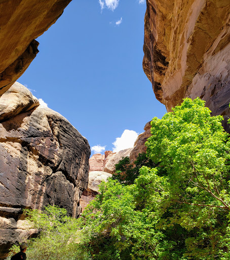Devils Kitchen Campground - Visual
