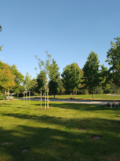 Ostfriedhof Gera - Visual