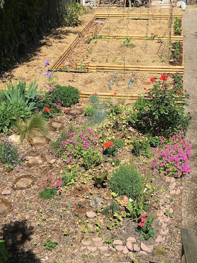 Photo de Good Artisanal Ollas (Oyas) à Saint-Savin (33920)