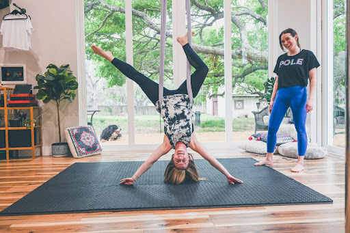 Feisty Fitness Co. Pole & Aerial - Thumbnail