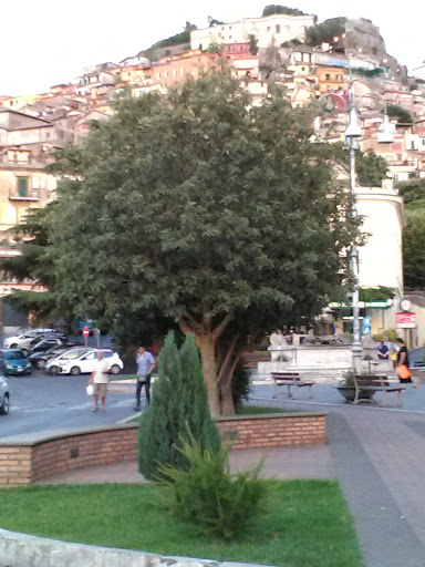 CasaMercato Rocca di Papa - Thumbnail