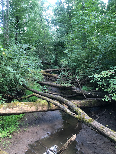 Lyon Oaks County Park - Thumbnail