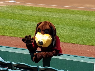 Hammons Field