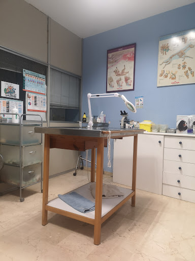 Animalia Consultorio Veterinario