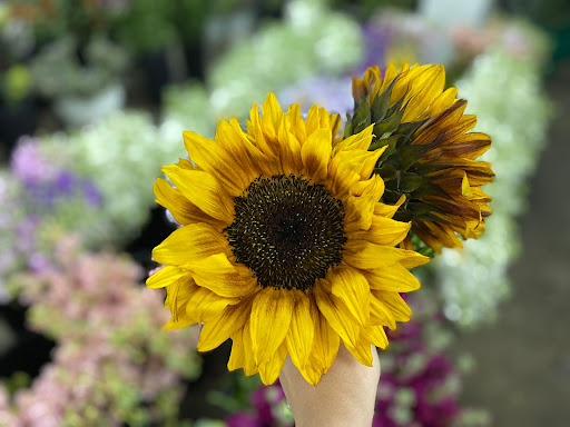 Berkeley Florist Supply - Thumbnail