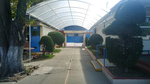 Centro Escolar Lerma S.C. - Thumbnail