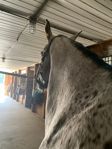 Power and Stride Equestrian Center - Thumbnail