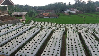 Photos of Perumahan Bina Karya