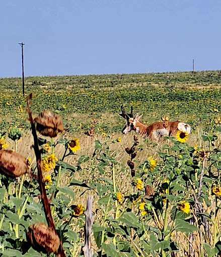 Crawford Ranch Retreats - Thumbnail