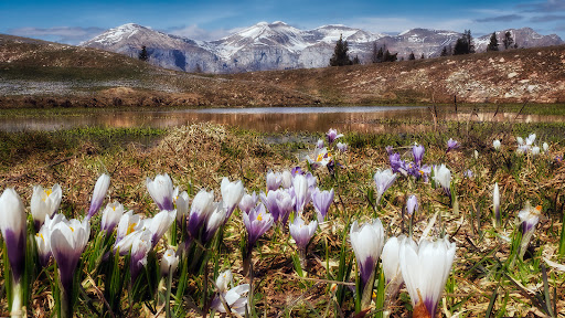 Monte Avena - Visual