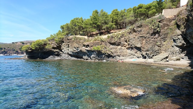 Cala Pelosa