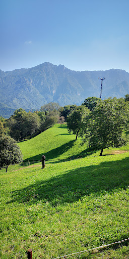 Comune di Blello - Visual