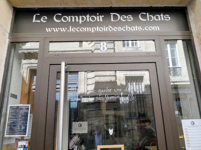 Le Comptoir Des Chats