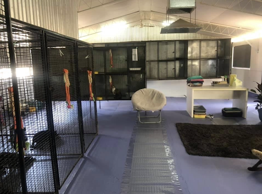 Dandaleith Boarding Kennels & Cattery Gallery - Australia