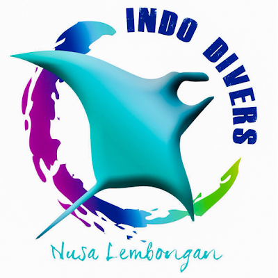 Photos of Indo Divers Lembongan