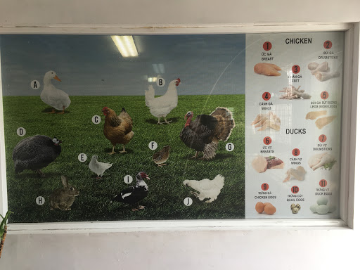 Baladi Poultry - Thumbnail